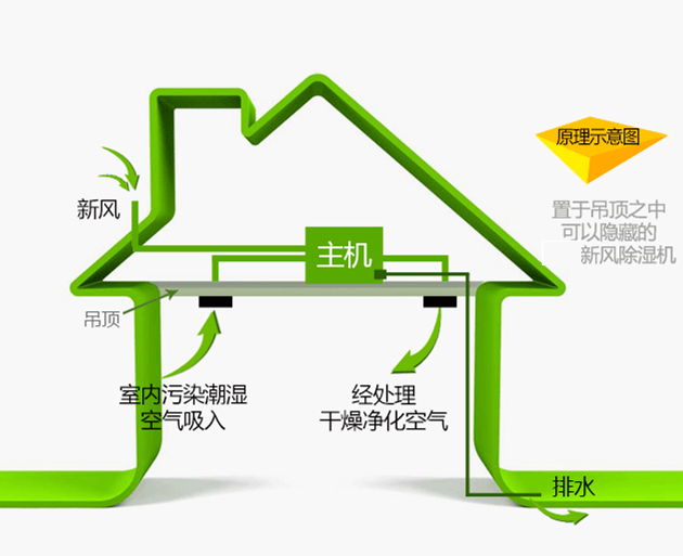 新風(fēng)凈化除濕機-運行示意圖-2.jpg