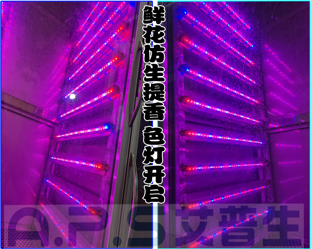 12、植物鮮花低溫萃取精華液專(zhuān)用設(shè)備=鮮花提香色燈開(kāi)啟.jpg